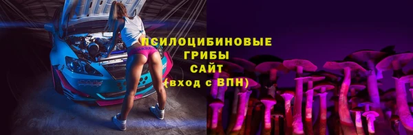 прущая мука Ельня