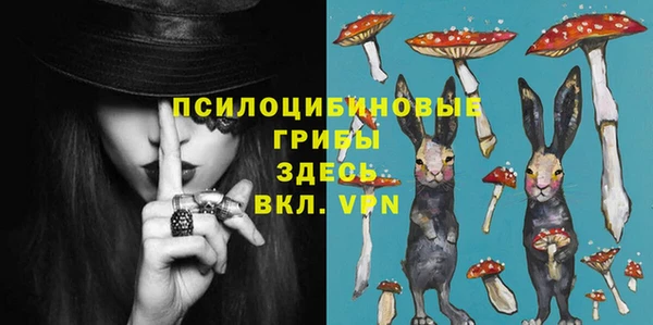 PSILOCYBIN Елизово