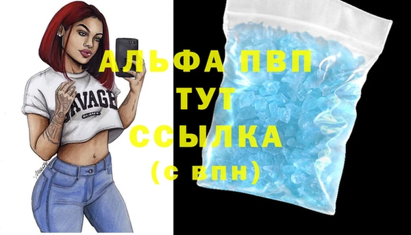 прущая мука Ельня
